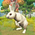 宠物兔模拟器游戏ios苹果版 v1.0